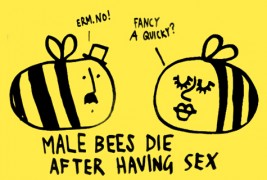 Забавни илустрирани факти