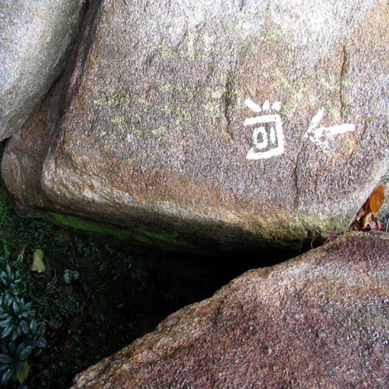 10-те најпознати пирати во историјата