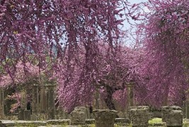 8 значајни места во Европа кои се пред прагот на исчезнувањето