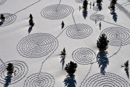 Цртежи во снег