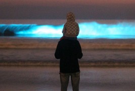 Флуоресцентни океански бранови