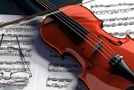 Интересни факти за виолината