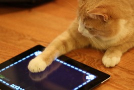 Симпатични животни си играат со мобилни уреди