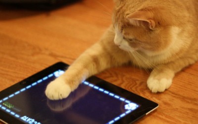 Симпатични животни си играат со мобилни уреди
