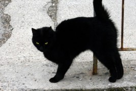 Суеверија и народни верувања во светот