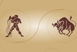 Водолија и бик пријателска комбинација