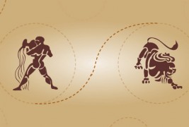 Водолија и лав - пријателска комбинација