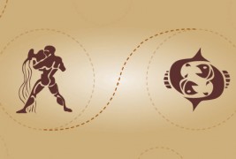 Водолија и риби – пријателска комбинација