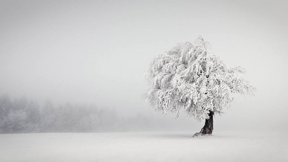 Неверојатна снежна бајка од фотографии