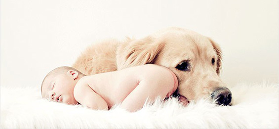 Фотографии кои морате да ги направите со вашето бебе