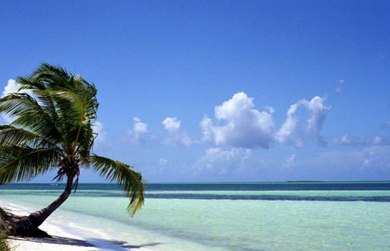 По што е позната Куба