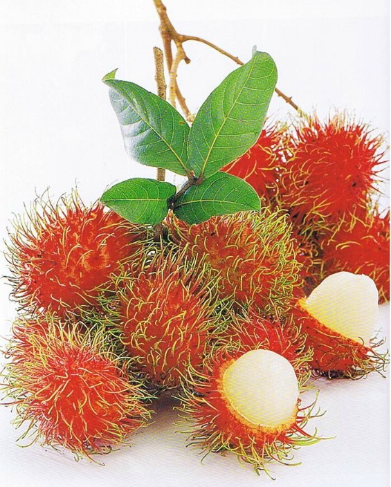 10 најчудни овошја во светот