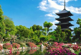 10 интересни работи што треба да ги направите во Јапонија