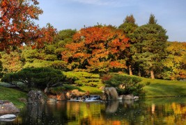 Јапонската градина „Ника Јуко“ – вистински рај на Земјата