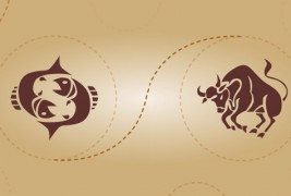 Риби и бик - пријателска комбинација