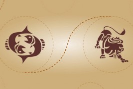 Риби и лав - пријателска комбинација