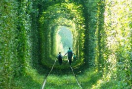 Тунелот на љубовта