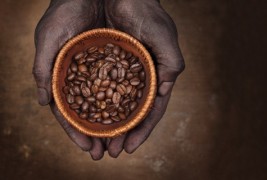 Уметност од зрна кафе