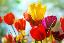 Во духот на пролетната еуфорија