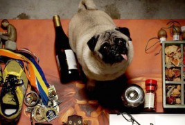 Во случај на пожар, по што најпрво би посегнале?