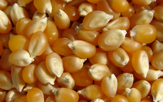 5 причини зошто да јадете пуканки