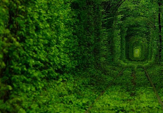 Тунелот на љубовта