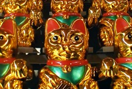 Армија од среќни мачки