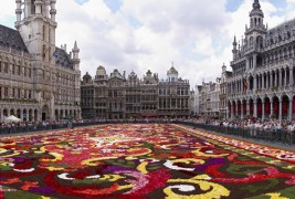 Џиновски килим од цвеќиња