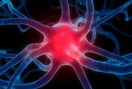 Неверојатни факти за мозокот кои ќе ве замислат