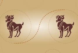 Овен и овен - пријателска комбинација