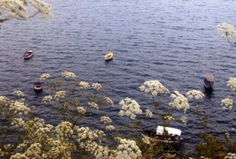 Пролетна прошетка во Охрид