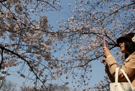 Расцветена пролет во различни делови од светот