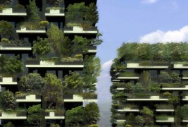 Вертикална шума