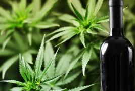 Вино од марихуана