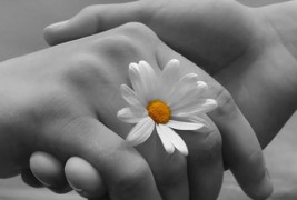 Владо Јаневски низ стиховите, љубовните нишки и заплетените емоции...