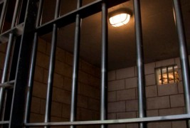 0 Животни лекции од затворот