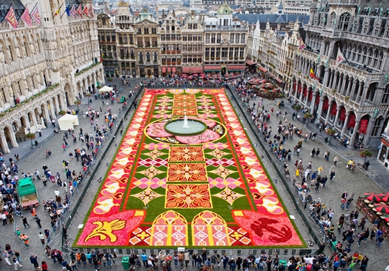 Џиновски килим од цвеќиња