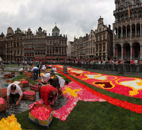 Џиновски килим од цвеќиња