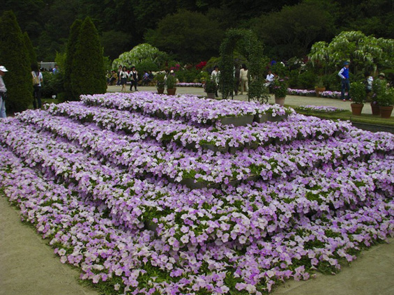 Романтичното цветно кралство во Јапонија