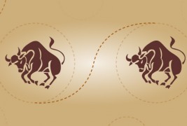 Бик и бик – пријателска комбинација