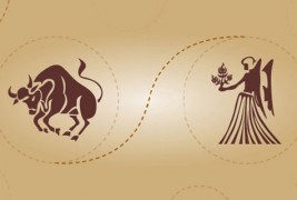 Бик и девица – пријателска комбинација