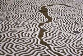 Фасцинантни уметнички дела изработени од сол