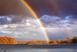 Интересни факти поврзани со виножитото