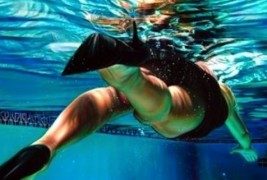 Извонредните слики на Ана Тереза Фернандез