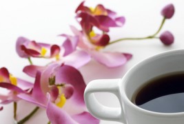 Кафе-позадина за вашиот десктоп #67