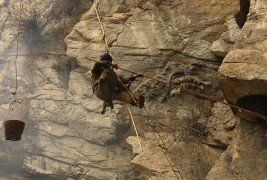 Непалските ловци на див мед