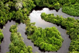 Новите 7 светски чуда на природата