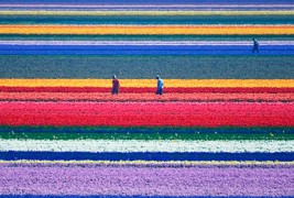 Утринска прошетка на умот