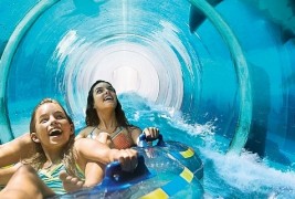 Застрашувачки тобогани низ аквариум со ајкули