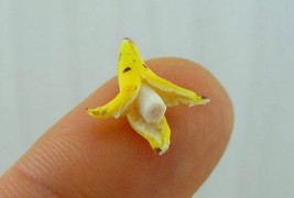 Неверојатен свет на минијатури